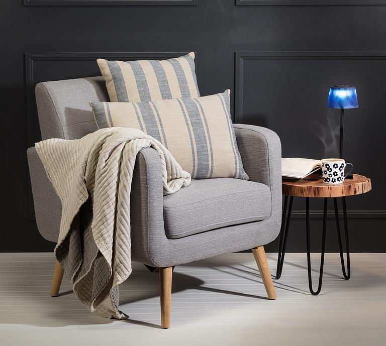 Ticking Stripe Cushion