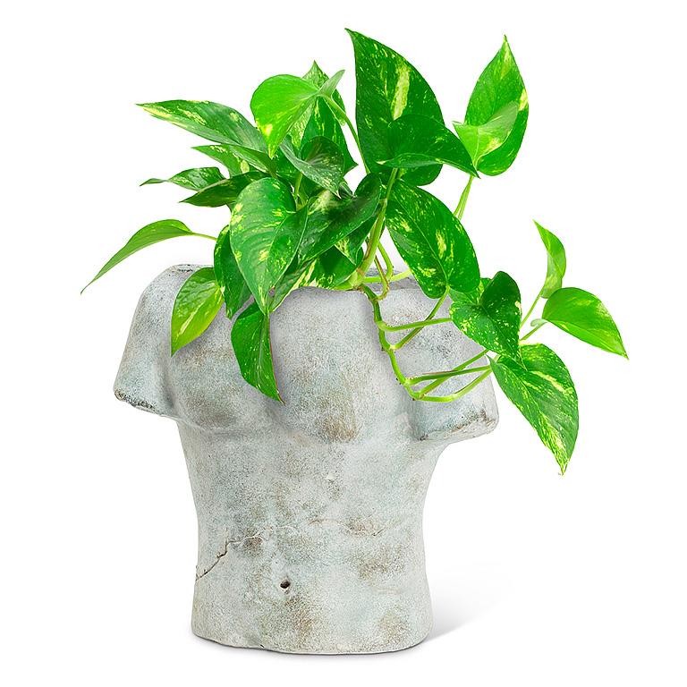 Male Torso Planter